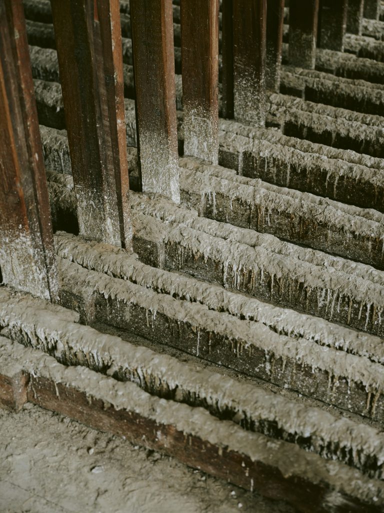 Moodshot 1