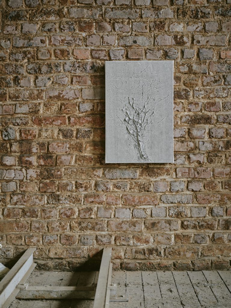 Shadow of Trees 60 x 40 1