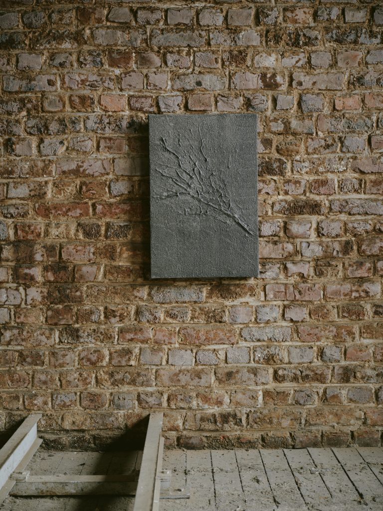 Shadow of Trees 60 x 40 2